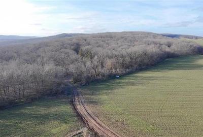 Teren Construcții intravilan de 1000 mp, în Telița - 1