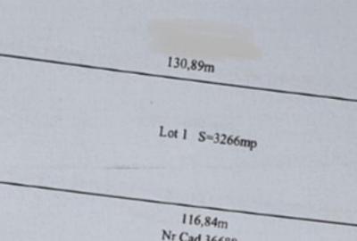 Teren Isanlita INTRAVILAN - 3266 MP - Ideal pentru investiti - 2