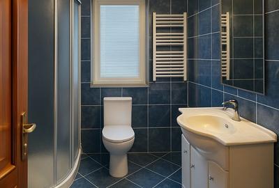 VILA SOMPTUOASA CU PONTON LA LAC SI TEREN GENEROS - REZIDENTA SAU INVESTITIE - 8