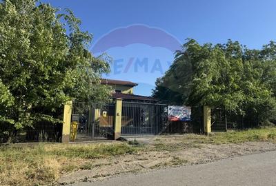 Casa cu teren 4800 mp si multiple posibilitati in Tureni - 24