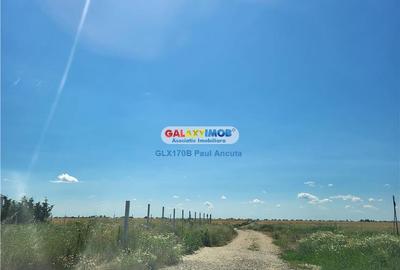 Teren intravilan de 10000 mp, în Balotești - 3