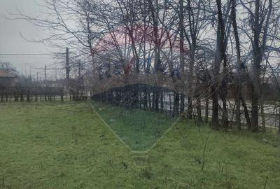 Teren agricol intravilan de 2205 mp, în Cocora - 8