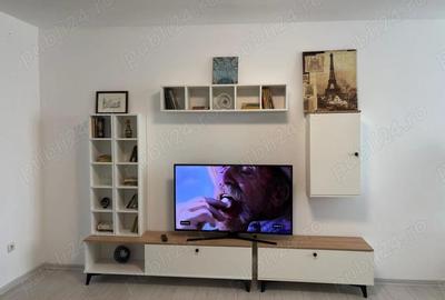 Garsonieră nedecomandată în Burdea - 1