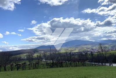 Teren agricol extravilan de 1494 mp, în Rășinari