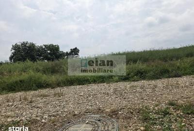 Teren de 700 mp, în Ciolpani - 4
