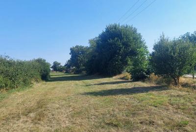 Spațiu comercial, în Baba Ana - 2