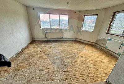 Casa de vis Valea Silistii - spatiu generos, natura si liniste deplina - 4