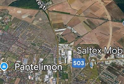 Centura Pantelimon Suprafata Compacta 71 889mp(40eur/mp)Teren Extravilan - 2