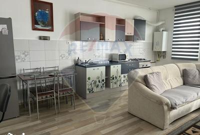 Apartament cu 2 camere, mobilat în Funcționarilor - 16