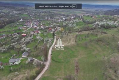 Teren de 5257 mp, în Curtuiușu Mic