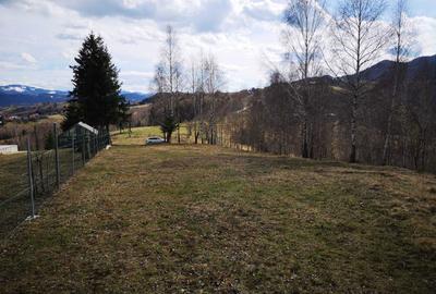 Spațiu comercial, în Peștera - 4