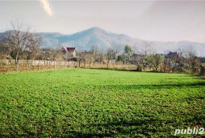 Teren de 2890 mp, în Homorâciu - 5