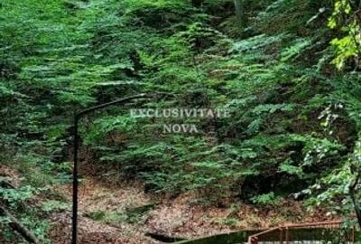 0% Vanzare teren si constructie Locatie de exceptie Calimanesti Calea lui Traian - 8