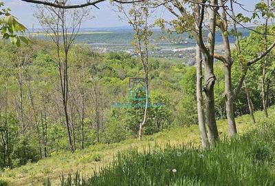 Teren de 3007 mp, în Seciu - 8