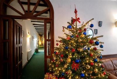 Preluare afacere pensiune administrare in regim turistic, Centrul Istoric - 25