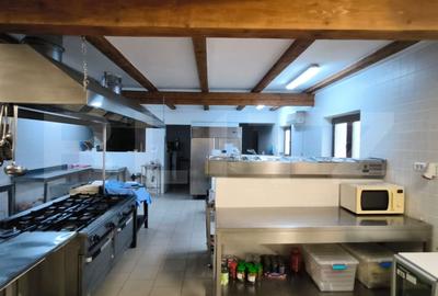 Proprietate specială, de 1,600 mp, în Cernele - 11