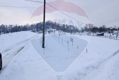 Teren agricol extravilan de 4301 mp, în Bârsana - 4