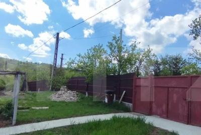 Casa+ casa vacanta, 2200 mp livada, Schitu-Duca - 9