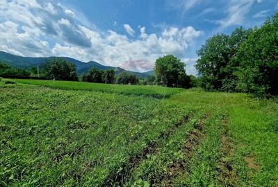 Teren intravilan 1000 mp Vii?oara, utilita?i - 17