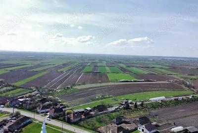 Parcele de teren - 729 mp | Amati - 3,5 km de Satu Mare - 11