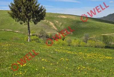 Teren extravilan de 8157 mp, în Sita Buzăului - 8