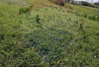 Spațiu comercial, în Tărian - 6