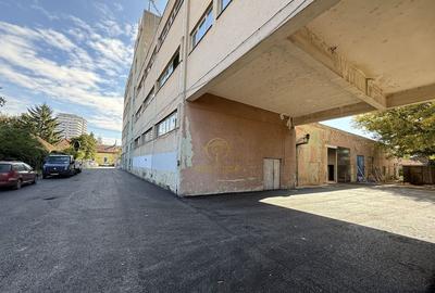 De inchiriat Hale/Spatii Comerciale /Spatii Productie/Zon... - 7