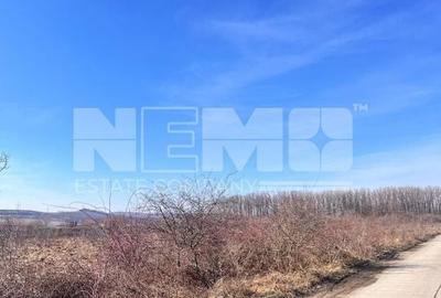 Vanzare I tTerenIntravilan I Suceava/Itcani I 18650 Mp I 89Euro/Mp - 6