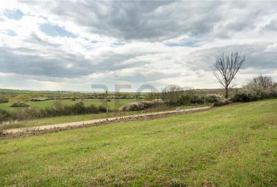 Teren intravilan Cetariu - 8