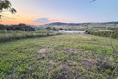 Teren intravilan Aghiresu Fabrici Jud Cluj  25 km Cluj Napoca - 3