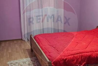 Casă cu 7 camere cu Teren 3141 Mp în Ploștina - 15