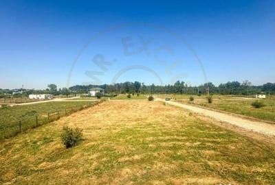 Teren de 1116 mp, în Tărtășești