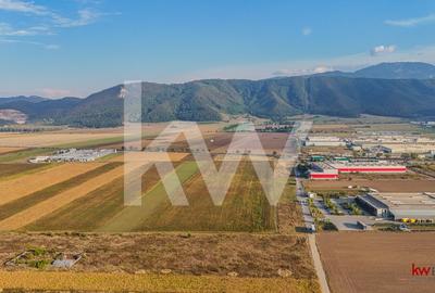 Teren industrial 6100 mp. cu PUZ in Cristian BV - 4