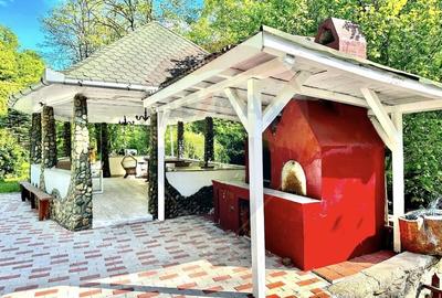 Cabana / casa de vanzare in Baisoara, 285 MP ! Piscina! Ciubar! - 8