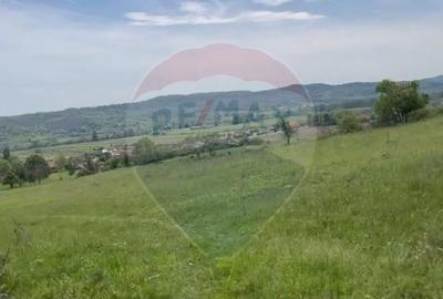 Fost Conac cu padure si teren 54h - 6