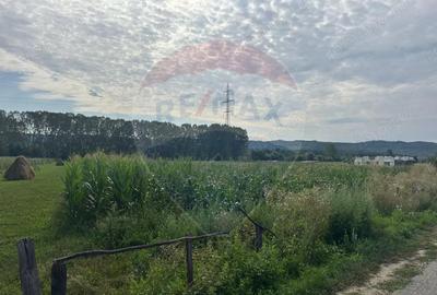 Teren de vanzare Valea Bradului, oportunitate de investi?ie! - 2