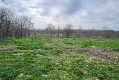 Satnoieni, comuna Dichiseni, jud Calarasi - 3