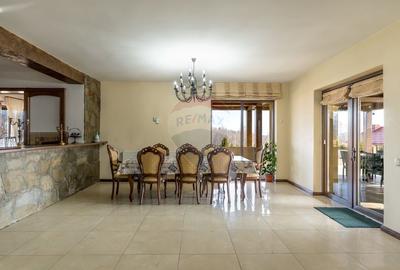EXCLUSIV! Vila cu 7 camere, teren 7535mp, Risca, Comision 0% - 8