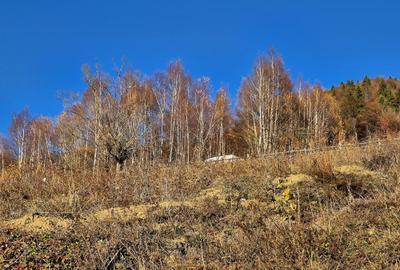 Teren de vânzare în sat Măgura/ Brasov– loc pentru familie, liniște și suflet - 27