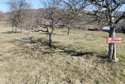 Teren de 1457 mp, în Micloșanii Mari - 3