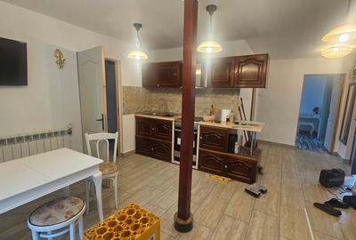 Casa singur curte la pret de apartament Tamasi - 2