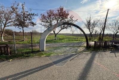 Teren 7094 mp Buftea pozitie excelenta vizavi de parc, acces asfaltat - 6