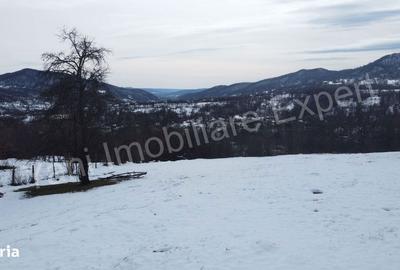 Spațiu comercial, în Bradu - 9