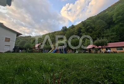 Spatiu de vanzare in Valea Macesului judel Valcea iesire la Lotru - 47