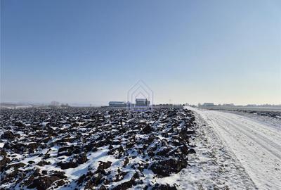 Teren extravilan Sf. Ilie - 3