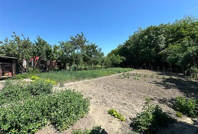 Casă individuală cu 2 camere cu Teren 1501 Mp în Birda - 26