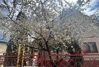 Casa de inchiriat, zona Horea, Floresti - 9