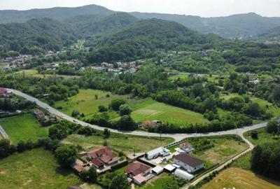 Teren de 10176 mp, în Mihăești - 8