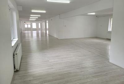 Spatiu Comercial 265 mp, intrare din strada, gradina, parcari, Pod Ira - 3