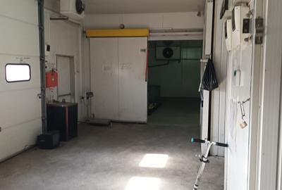 Depozit 600mp Techirghiol - 14